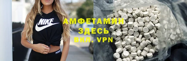 индика Богданович