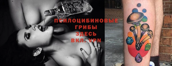 индика Покачи