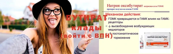 индика Богданович
