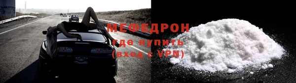 индика Богданович