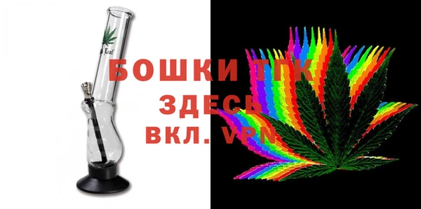 индика Богданович