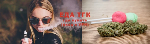 индика Богданович