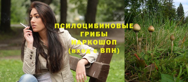 прущий лед Богородск