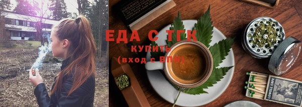 индика Богданович