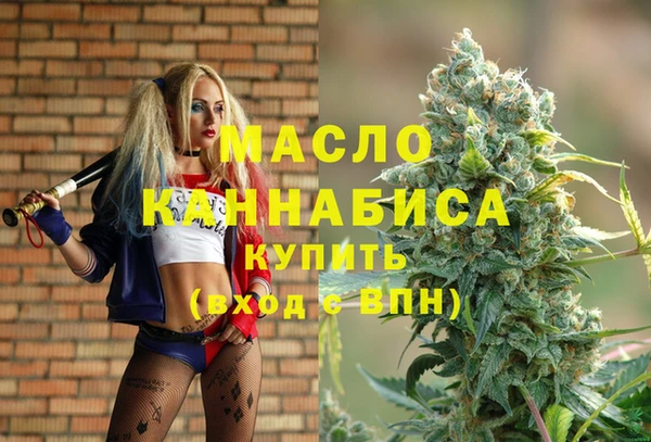 индика Богданович