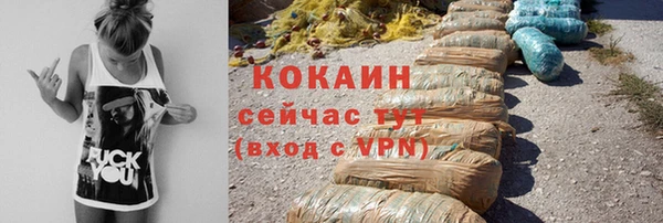 индика Богданович