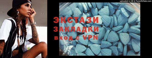 индика Богданович