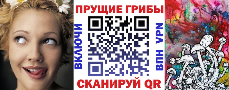 Галлюциногенные грибы Psilocybe  цена   hydra вход  Макаров 