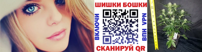 где продают   Макаров  блэк спрут как зайти  Бошки Шишки сатива 